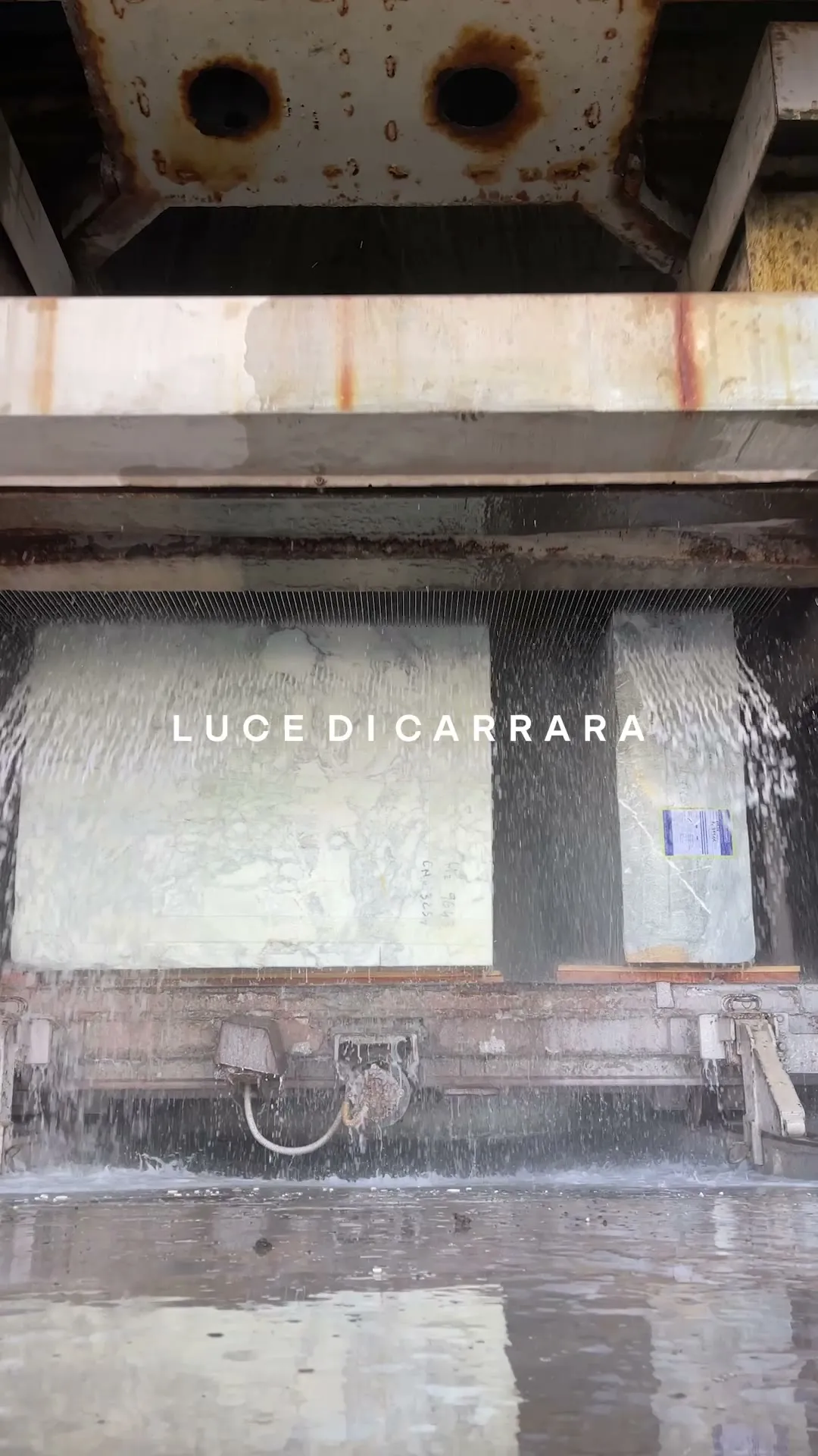 Still from a visual-language motion study.